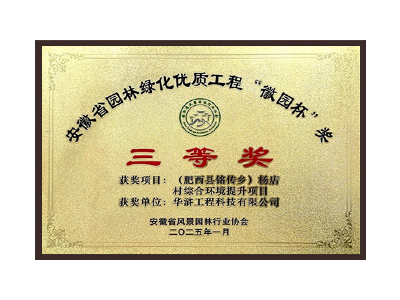 朝阳荣获2025“徽园杯”奖三等奖